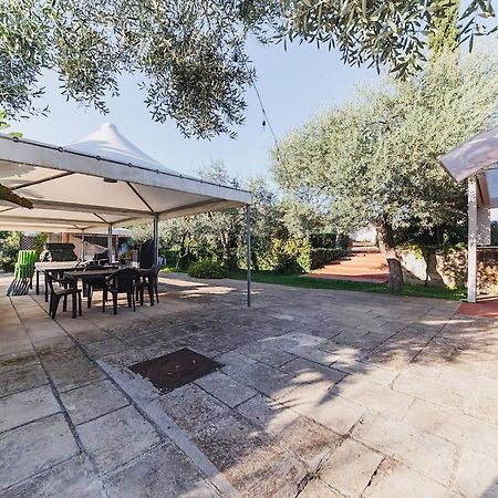 Countryhouse Gli Ulivi مودونيو المظهر الخارجي الصورة