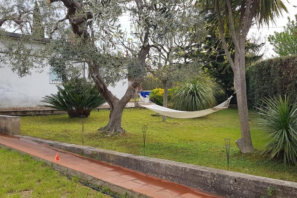 Countryhouse Gli Ulivi مودونيو المظهر الخارجي الصورة