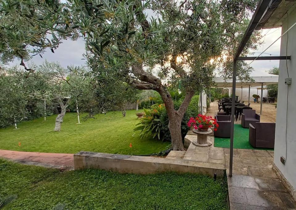 Countryhouse Gli Ulivi مودونيو المظهر الخارجي الصورة