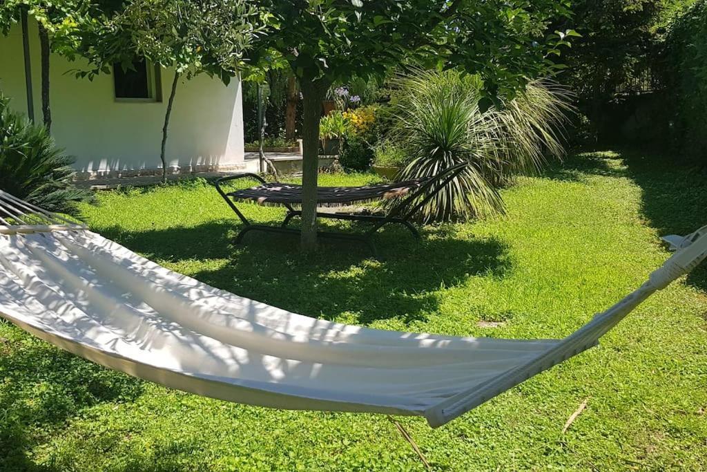 Countryhouse Gli Ulivi مودونيو المظهر الخارجي الصورة