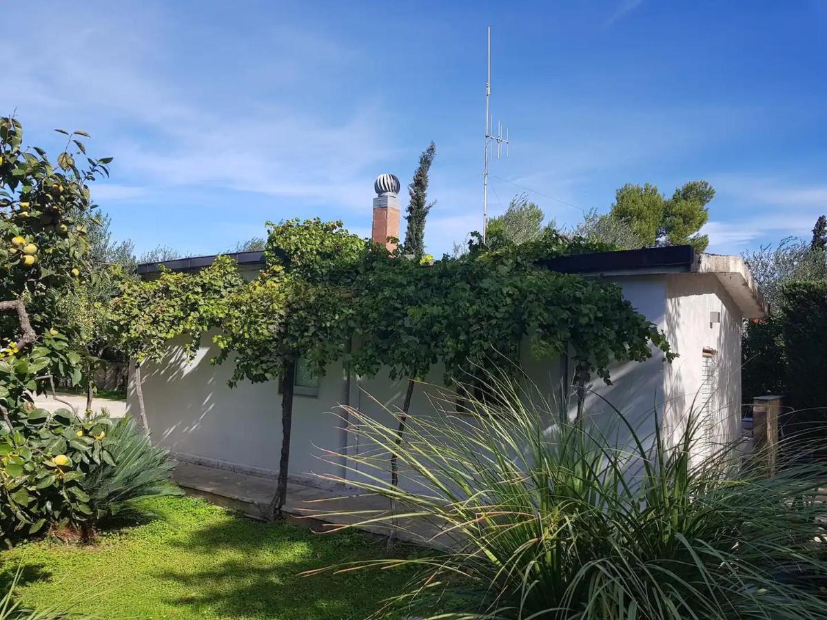 Countryhouse Gli Ulivi مودونيو المظهر الخارجي الصورة