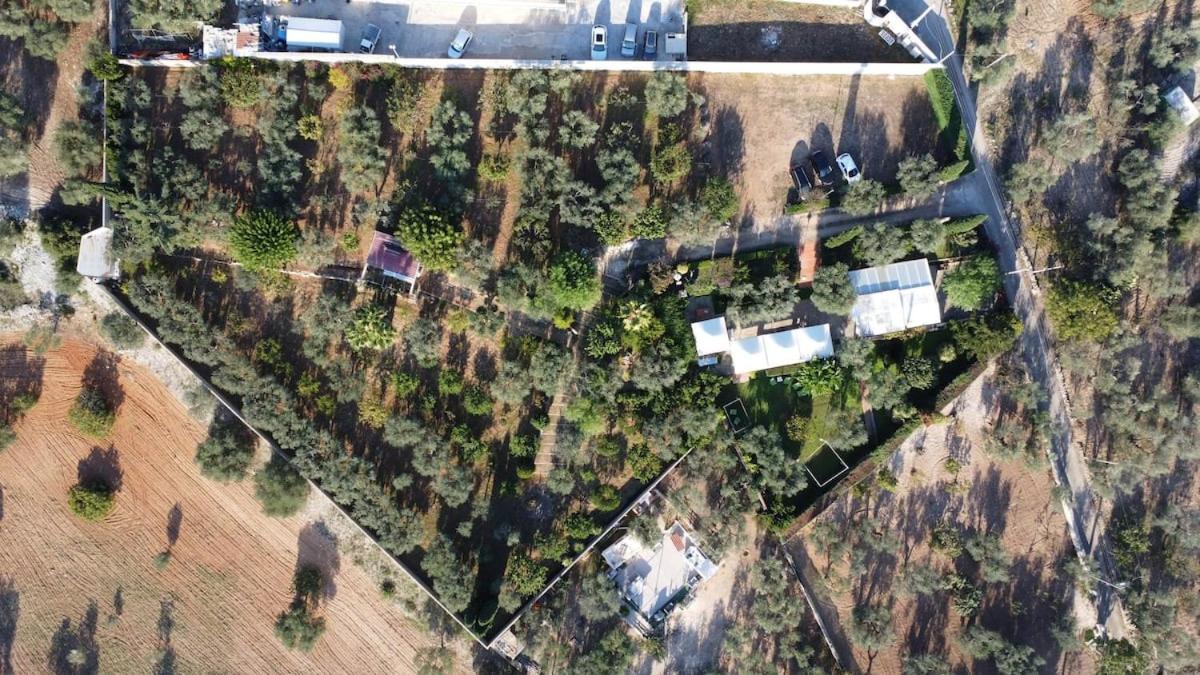 Countryhouse Gli Ulivi مودونيو المظهر الخارجي الصورة