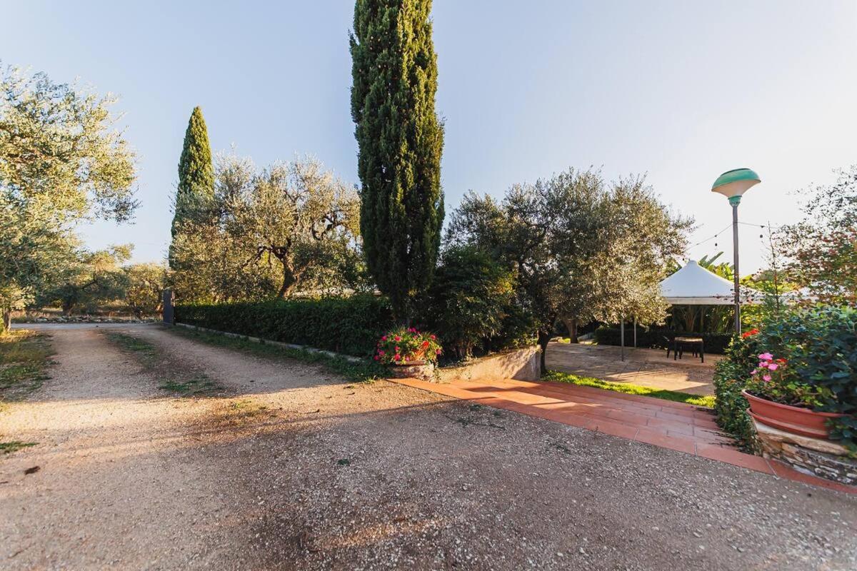 Countryhouse Gli Ulivi مودونيو المظهر الخارجي الصورة