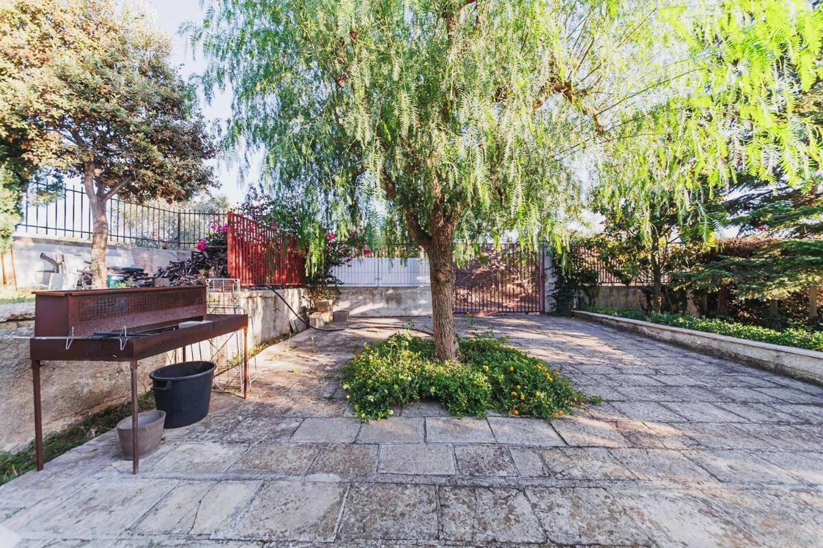 Countryhouse Gli Ulivi مودونيو المظهر الخارجي الصورة