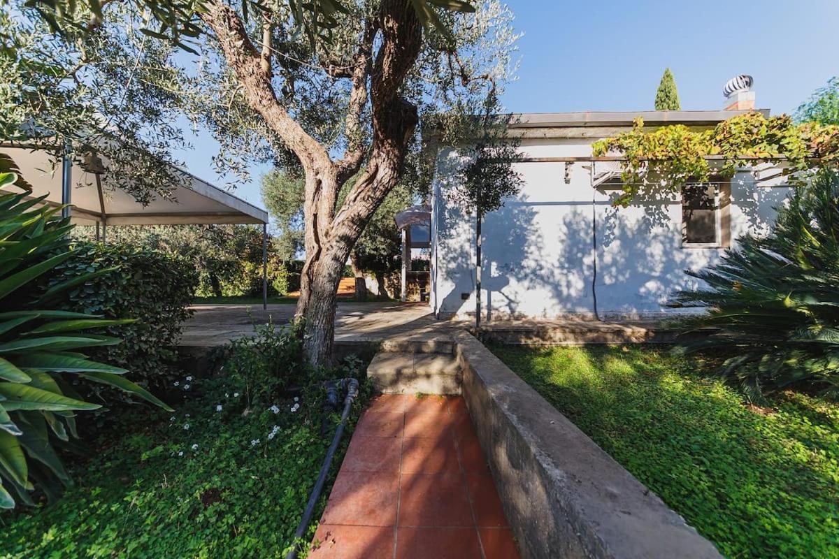 Countryhouse Gli Ulivi مودونيو المظهر الخارجي الصورة