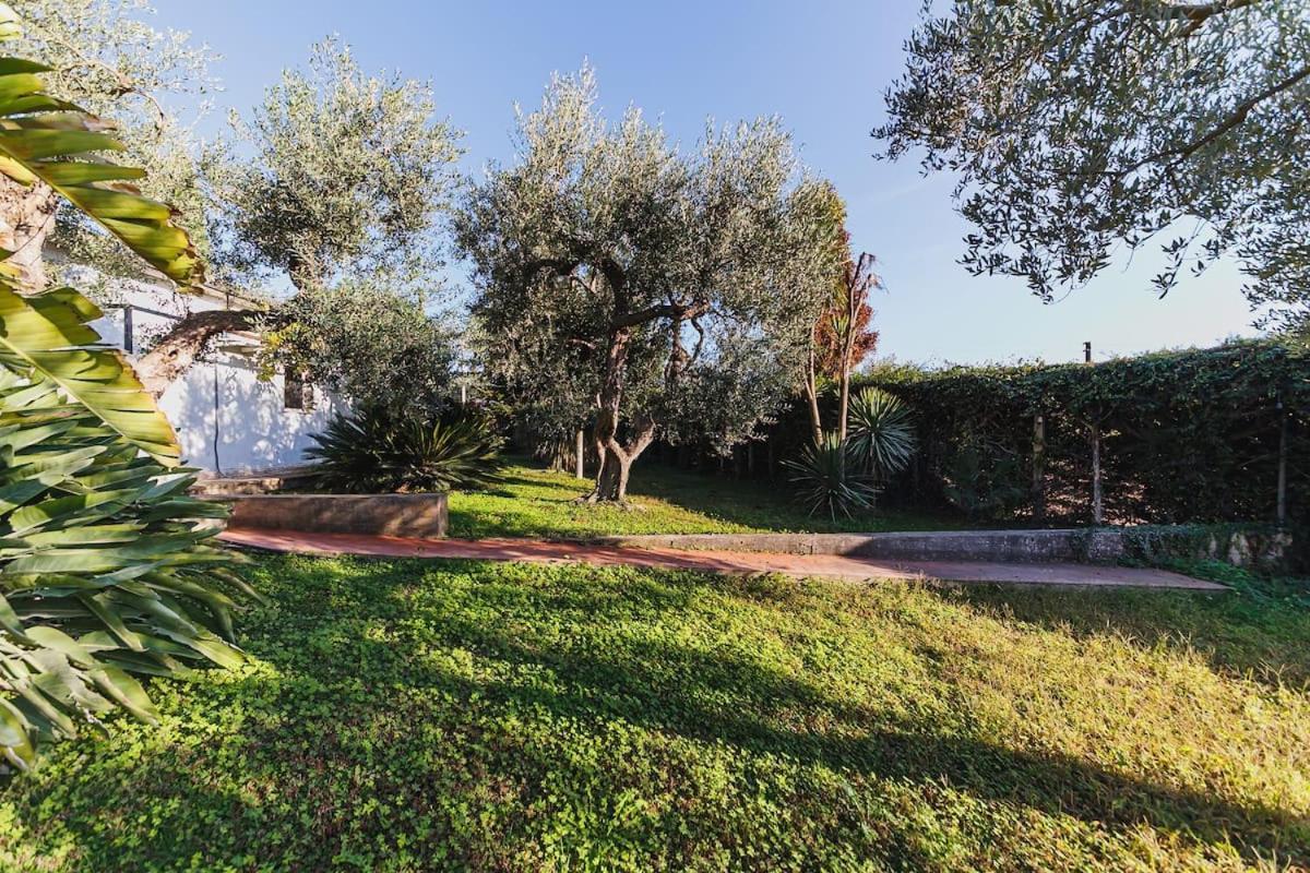 Countryhouse Gli Ulivi مودونيو المظهر الخارجي الصورة