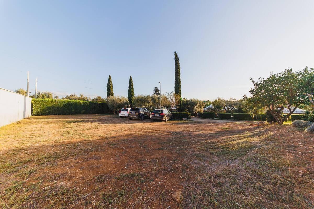 Countryhouse Gli Ulivi مودونيو المظهر الخارجي الصورة